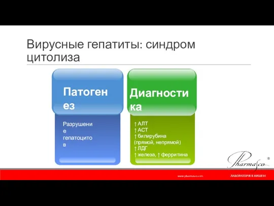 Вирусные гепатиты: синдром цитолиза ↑ АЛТ ↑ АСТ ↑ билирубина (прямой,