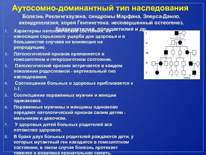 Аутосомно-доминантный тип наследования Характерны патологические состояния, не наносящие серьезного ущерба для