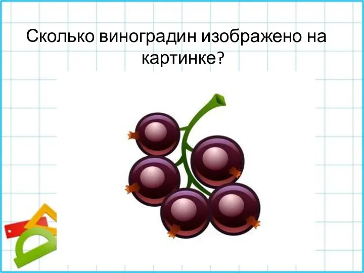 Сколько виноградин изображено на картинке?