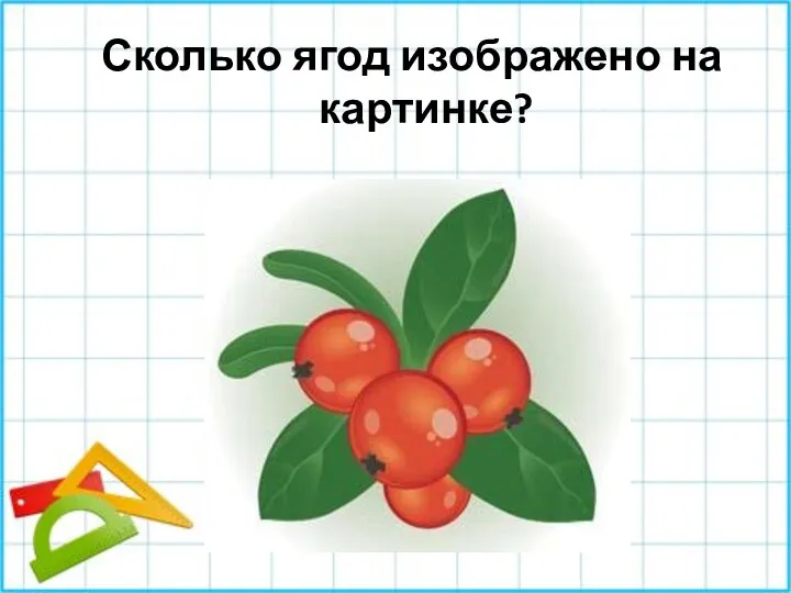 Сколько ягод изображено на картинке?