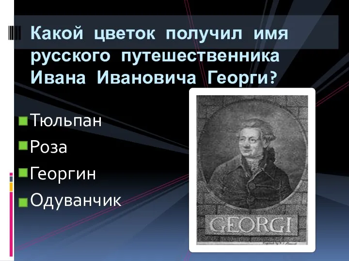 Тюльпан Роза Георгин Одуванчик Какой цветок получил имя русского путешественника Ивана Ивановича Георги?