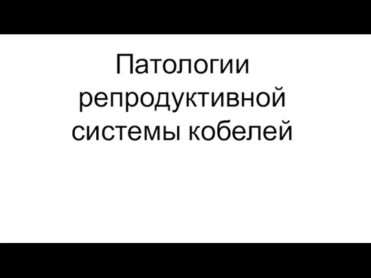 Патологии репродуктивной системы кобелей