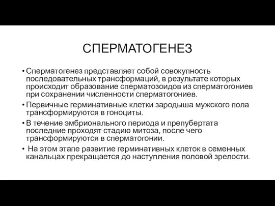 СПЕРМАТОГЕНЕЗ Сперматогенез представляет собой совокупность последовательных трансформаций, в результате которых происходит