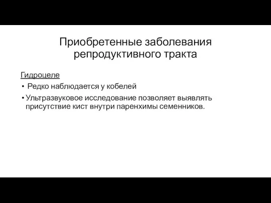 Приобретенные заболевания репродуктивного тракта Гидроцеле Редко наблюдается у кобелей Ультразвуковое исследование