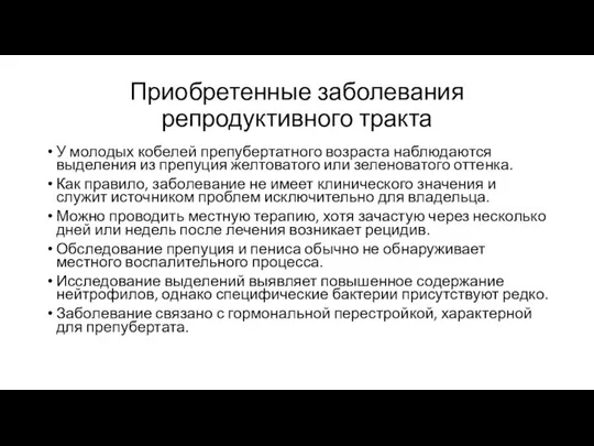 Приобретенные заболевания репродуктивного тракта У молодых кобелей препубертатного возраста наблюдаются выделения