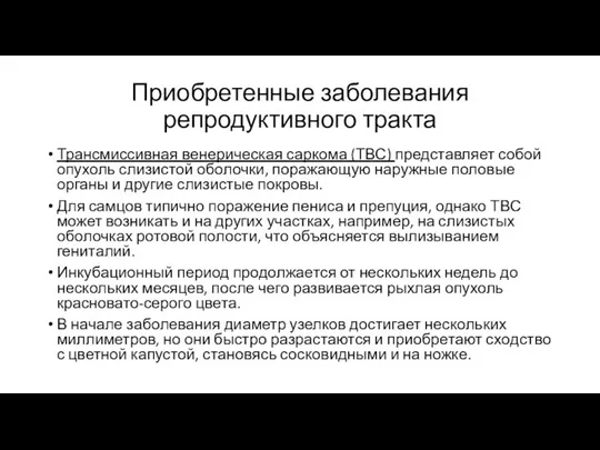 Приобретенные заболевания репродуктивного тракта Трансмиссивная венерическая саркома (ТВС) представляет собой опухоль