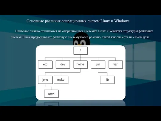 Основные различия операционных систем Linux и Windows Наиболее сильно отличаются на