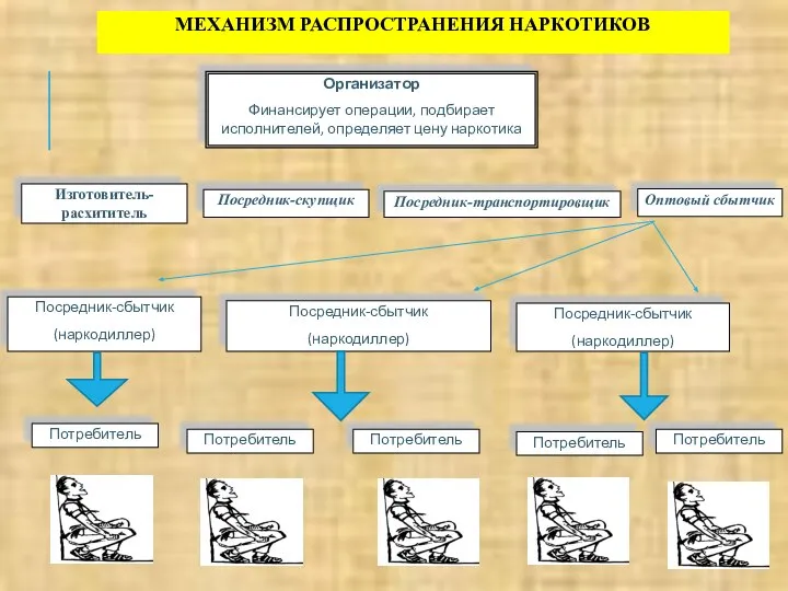 МЕХАНИЗМ РАСПРОСТРАНЕНИЯ НАРКОТИКОВ Организатор Финансирует операции, подбирает исполнителей, определяет цену наркотика