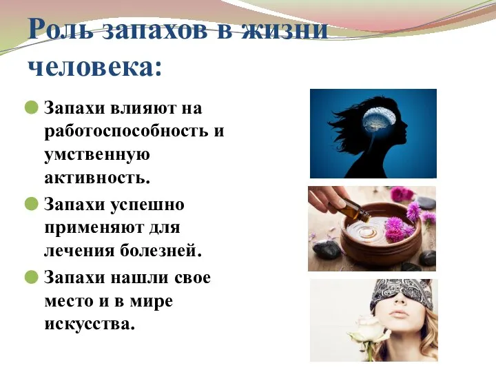 Роль запахов в жизни человека: Запахи влияют на работоспособность и умственную