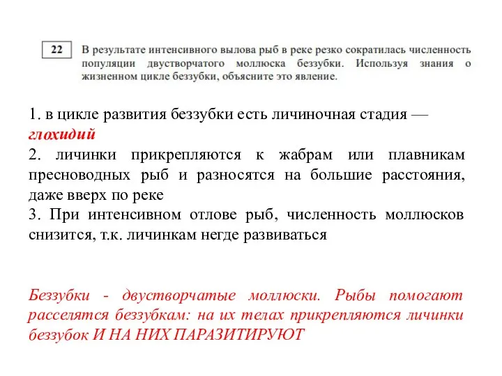 1. в цикле развития беззубки есть личиночная стадия — глохидий 2.