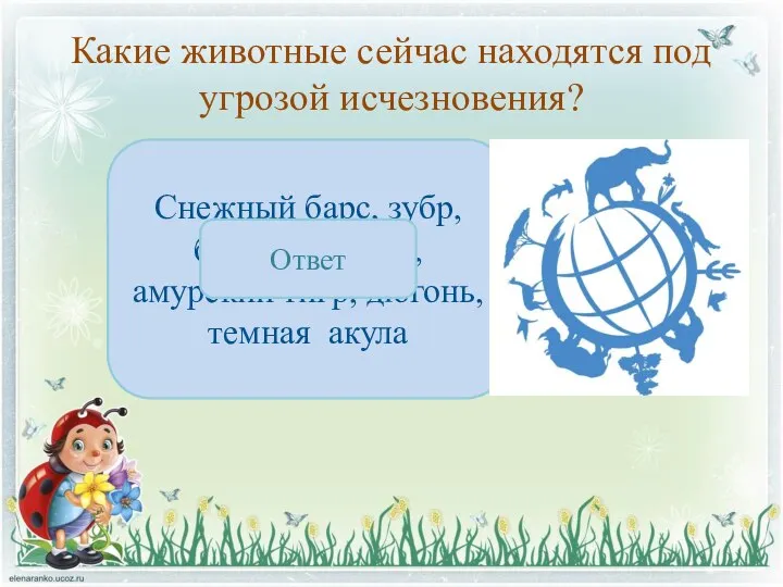 Какие животные сейчас находятся под угрозой исчезновения? Снежный барс, зубр, белый