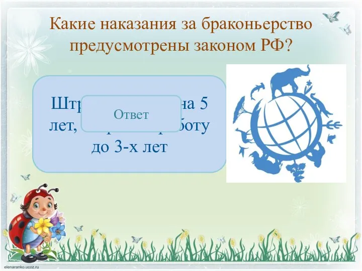 Какие наказания за браконьерство предусмотрены законом РФ? Штраф, тюрьма на 5