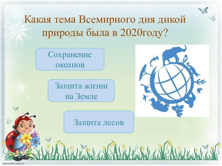 Какая тема Всемирного дня дикой природы была в 2020году? Защита жизни