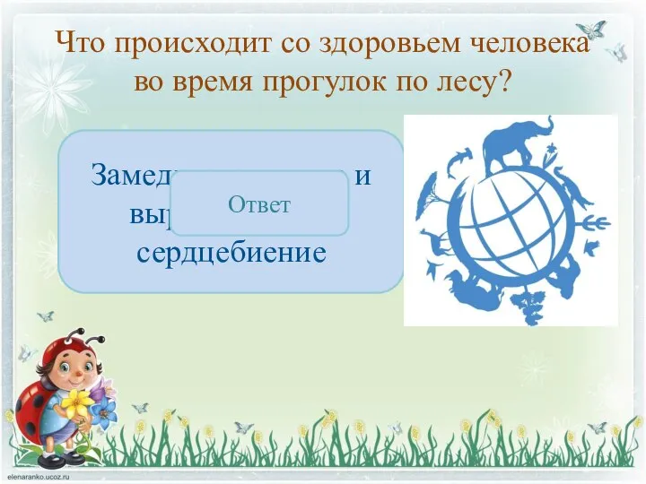 Что происходит со здоровьем человека во время прогулок по лесу? Замедляется пульс и выравнивается сердцебиение Ответ