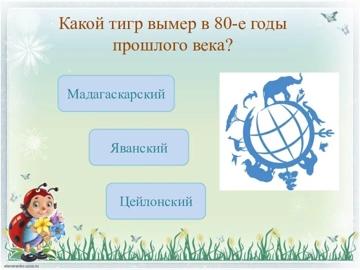 Какой тигр вымер в 80-е годы прошлого века? Яванский Цейлонский Мадагаскарский