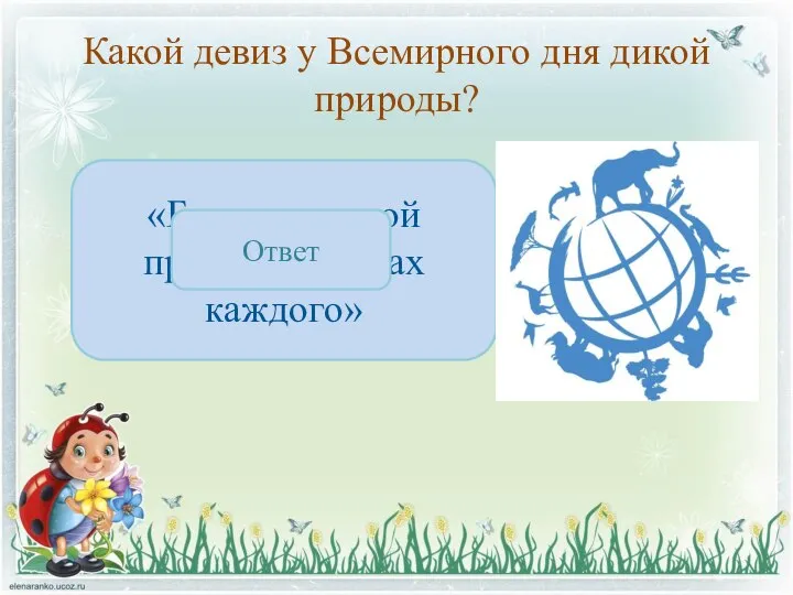 Какой девиз у Всемирного дня дикой природы? «Будущее дикой природы в руках каждого» Ответ