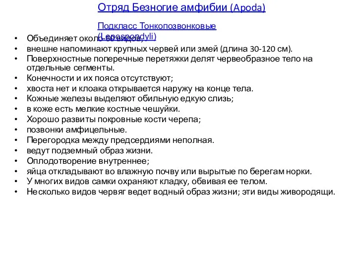 Отряд Безногие амфибии (Apoda) Объединяет около 60 видов, внешне напоминают крупных