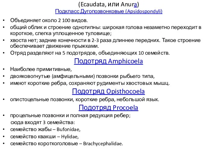 Отряд Бесхвостые (Ecaudata, или AnurОтряд Бесхвостые (Ecaudata, или Anura) Подкласс Дугопозвонковые