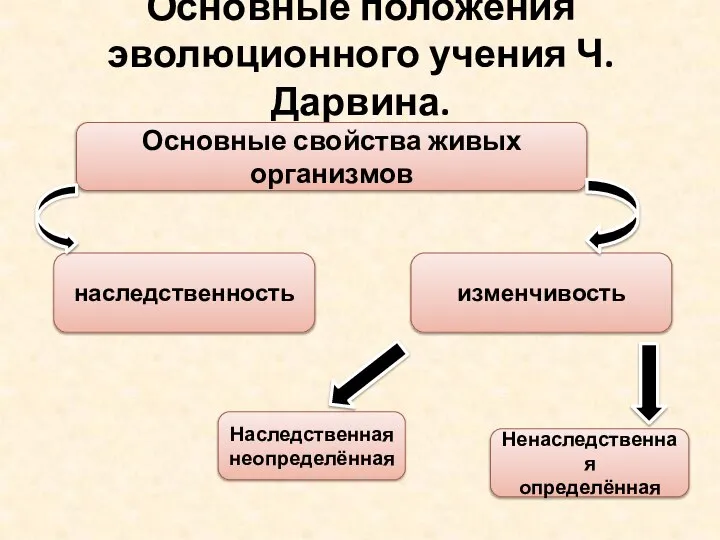 Основные положения эволюционного учения Ч. Дарвина. Основные свойства живых организмов наследственность изменчивость Наследственная неопределённая Ненаследственная определённая