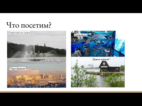 Что посетим? Семеновское озеро Океанариум “Домик моржей” “Гора дураков”