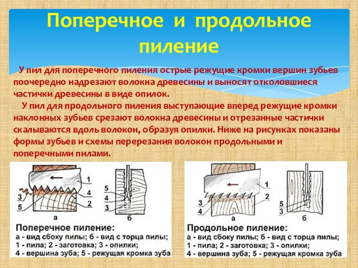 Поперечное и продольное пиление У пил для поперечного пиления острые режущие