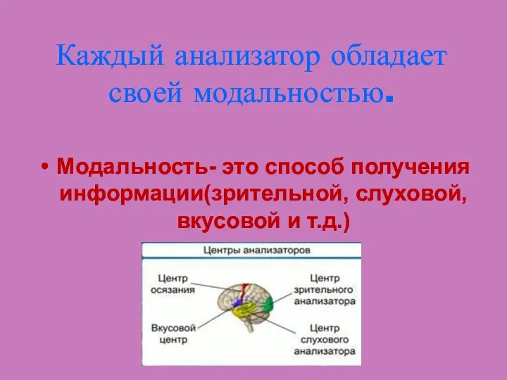 Каждый анализатор обладает своей модальностью. Модальность- это способ получения информации(зрительной, слуховой, вкусовой и т.д.)