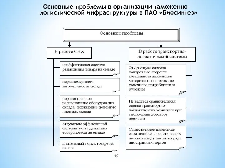 Основные проблемы в организации таможенно-логистической инфраструктуры в ПАО «Биосинтез»