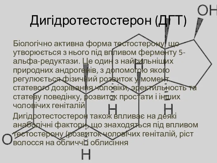 Дигідротестостерон (ДГТ) Біологічно активна форма тестостерону, що утворюється з нього під