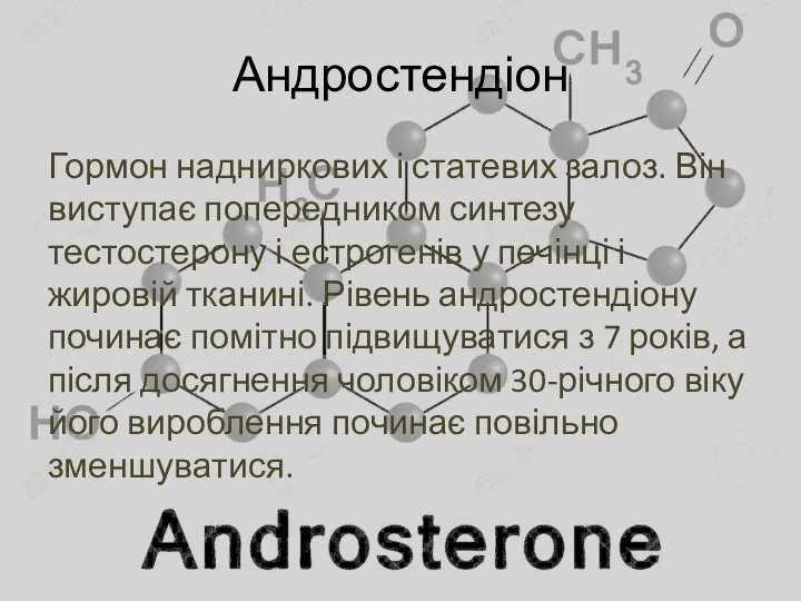 Андростендіон Гормон надниркових і статевих залоз. Він виступає попередником синтезу тестостерону