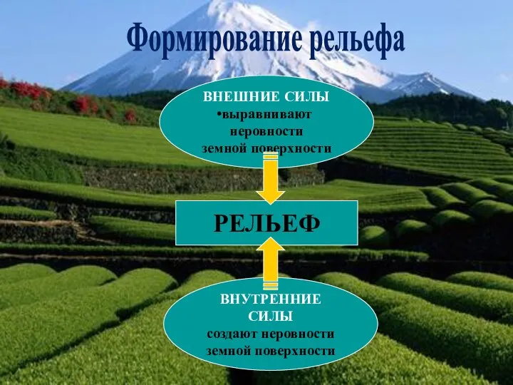 Формирование рельефа ВНЕШНИЕ СИЛЫ выравнивают неровности земной поверхности ВНУТРЕННИЕ СИЛЫ создают неровности земной поверхности РЕЛЬЕФ