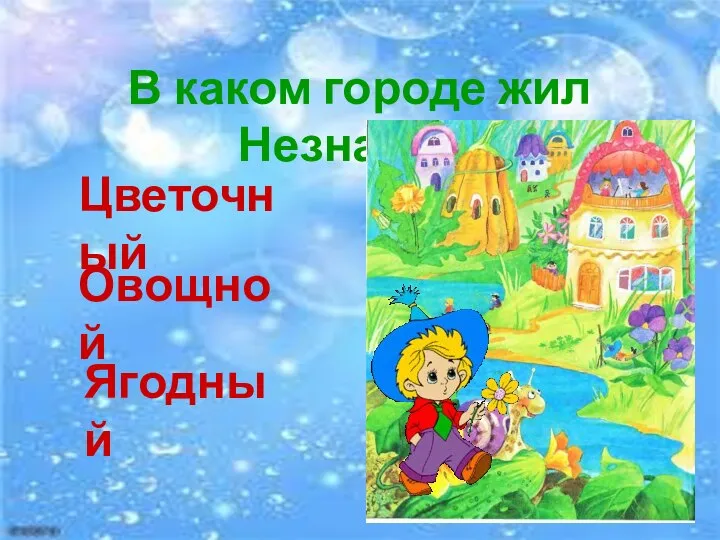 В каком городе жил Незнайка? Цветочный Овощной Ягодный