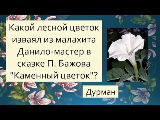 Какой лесной цветок изваял из малахита Данило-мастер в сказке П. Бажова "Каменный цветок"? Дурман