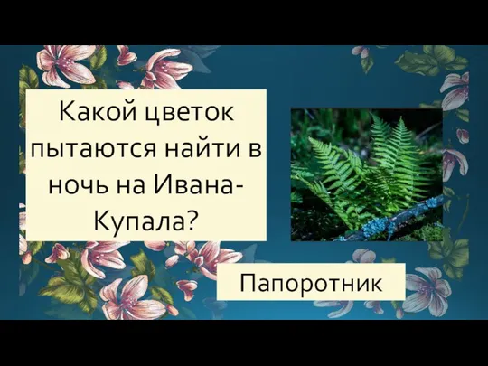 Какой цветок пытаются найти в ночь на Ивана-Купала? Папоротник