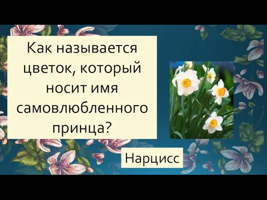 Как называется цветок, который носит имя самовлюбленного принца? Нарцисс