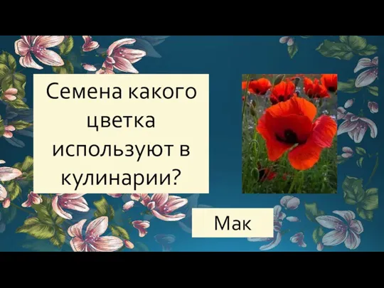 Семена какого цветка используют в кулинарии? Мак