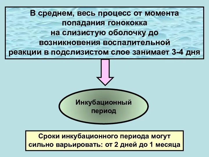 В среднем, весь процесс от момента попадания гонококка на слизистую оболочку