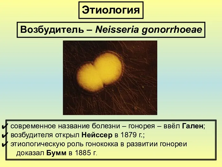 Этиология Возбудитель – Neisseria gonorrhoeae современное название болезни – гонорея –