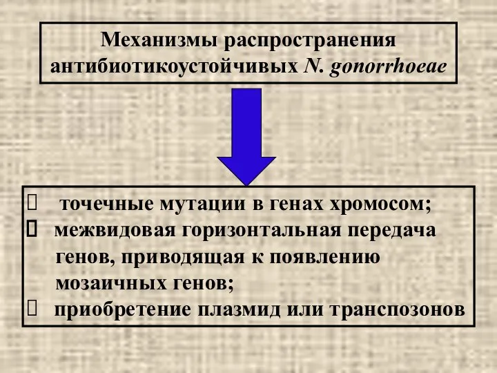 Механизмы распространения антибиотикоустойчивых N. gonorrhoeae точечные мутации в генах хромосом; межвидовая