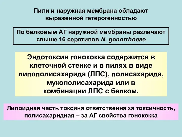 Липоидная часть токсина ответственна за токсичность, полисахаридная – за АГ свойства