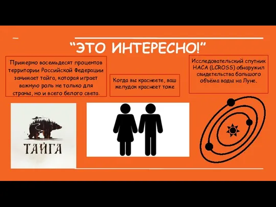 “ЭТО ИНТЕРЕСНО!” Примерно восемьдесят процентов территории Российской Федерации занимает тайга, которая