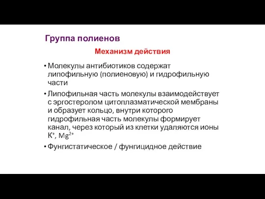 Группа полиенов Механизм действия Молекулы антибиотиков содержат липофильную (полиеновую) и гидрофильную