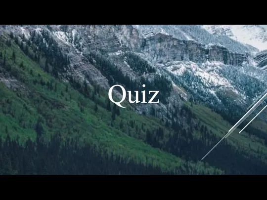 Quiz