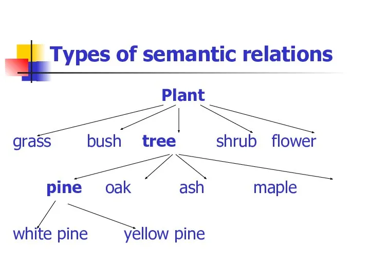 Types of semantic relations Plant grass bush tree shrub flower pine