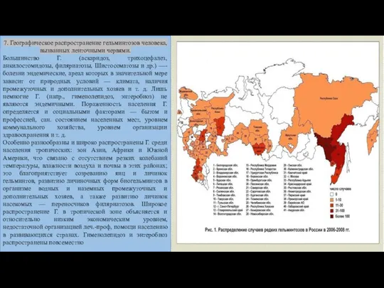 7. Географическое распространение гельминтозов человека, вызванных ленточными червями. Большинство Г. (аскаридоз,