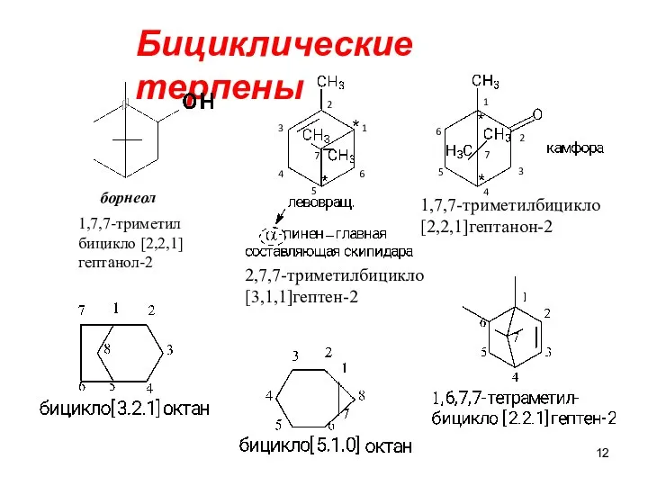 Бициклические терпены 1,7,7-триметилбицикло [2,2,1]гептанон-2 борнеол 1 7 2 3 4 5