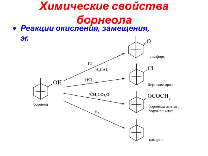 Химические свойства борнеола Реакции окисления, замещения, этрификации