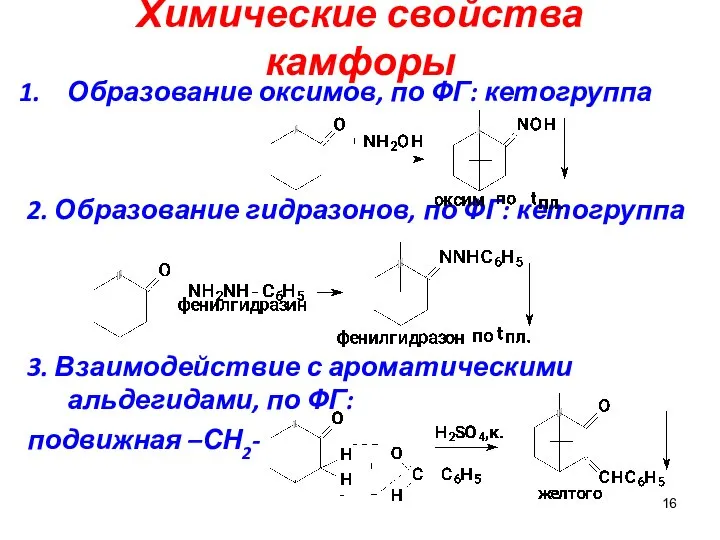 Химические свойства камфоры Образование оксимов, по ФГ: кетогруппа 2. Образование гидразонов,