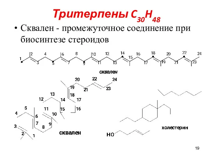 Тритерпены C30H48 Сквален - промежуточное соединение при биосинтезе стероидов