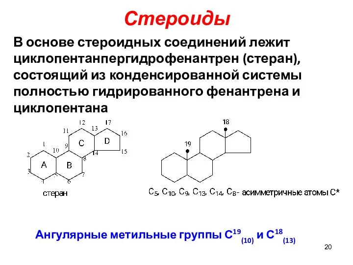 Стероиды Ангулярные метильные группы С19(10) и С18(13) В основе стероидных соединений