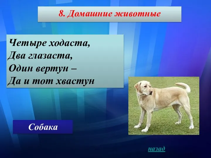 8. Домашние животные Четыре ходаста, Два глазаста, Один вертун – Да и тот хвастун Собака назад